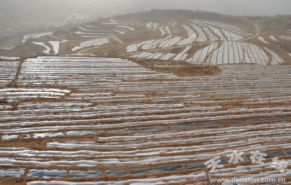 西靈山.jpg