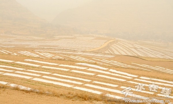 紅堡半山梁.jpg