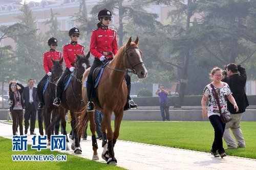 大連騎警每匹警馬日花費(fèi)80元 被指長官意志產(chǎn)物