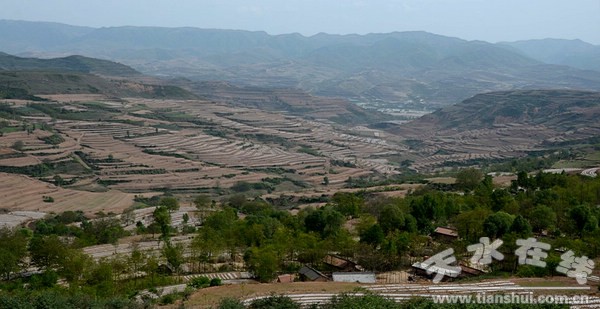 2012年中低產(chǎn)田改造項(xiàng)目梯田.jpg