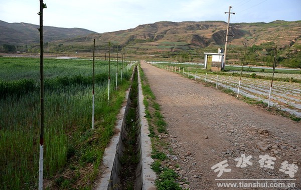 2012年高標(biāo)準(zhǔn)農(nóng)田建設(shè)項(xiàng)目田間道路、行道樹、支渠.jpg