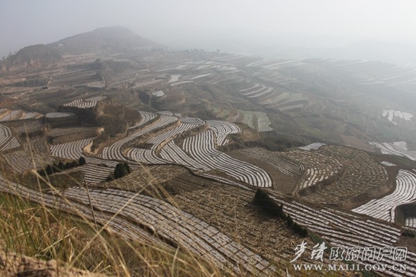 安遠(yuǎn)鎮(zhèn)安坡流域秋覆膜點(diǎn)