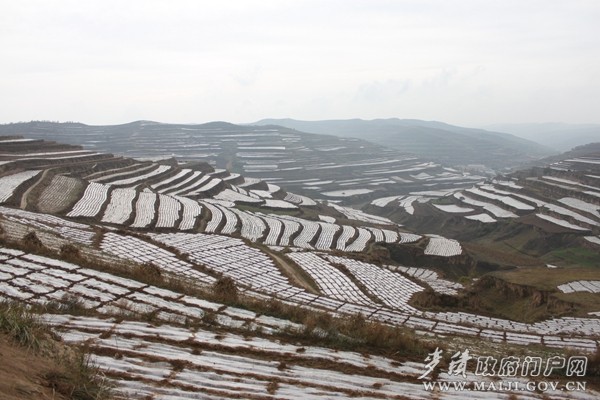大莊鄉(xiāng)小岔灣流域秋覆膜點(diǎn)