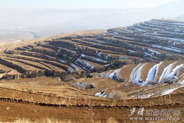 全國(guó)坡耕地水土流失綜合治理試點(diǎn)工程麥積區(qū)張坪梁項(xiàng)目