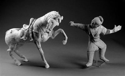 馬類(lèi)發(fā)展史:世界唯一野馬曾存新疆 引多國(guó)搶奪