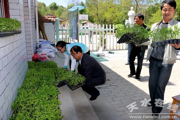 贈送的辣椒苗 (1).jpg
