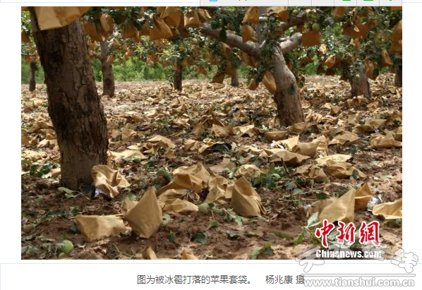 QQ截圖20160614184437.png