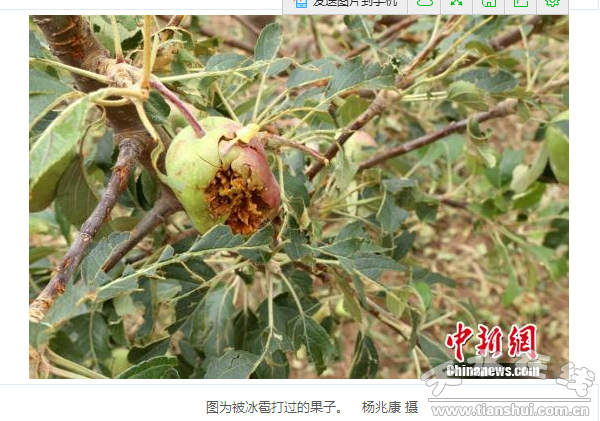 QQ截圖20160614184508.png