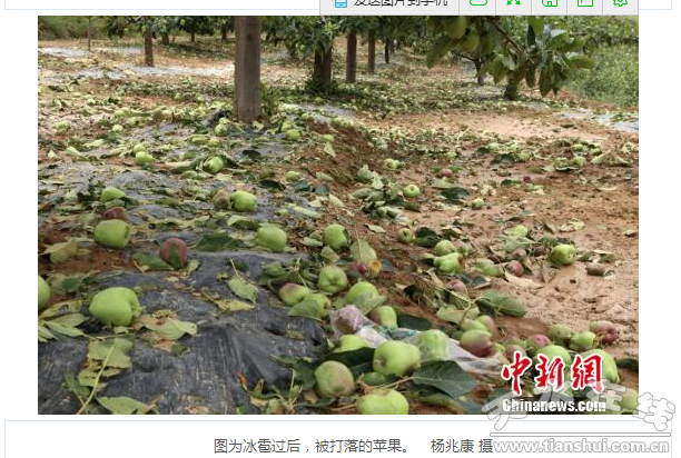 QQ截圖20160614184418.png