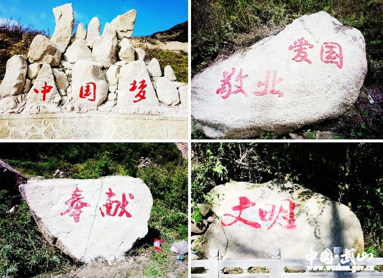 點擊查看大圖
