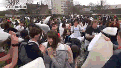 9.gif