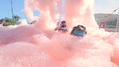 2.gif