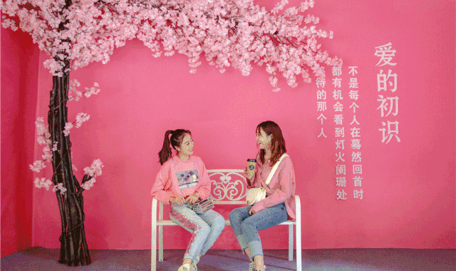 5.gif