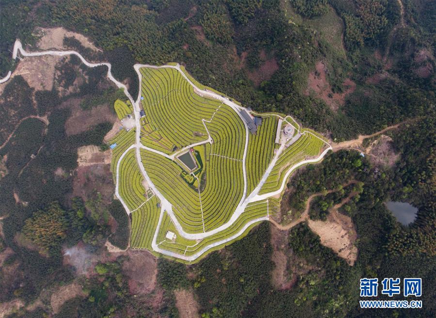 (新華全媒頭條·圖文互動)(3)生態(tài)文明之光照耀美麗中國——寫在綠水青山就是金山銀山理念提出15周年之際